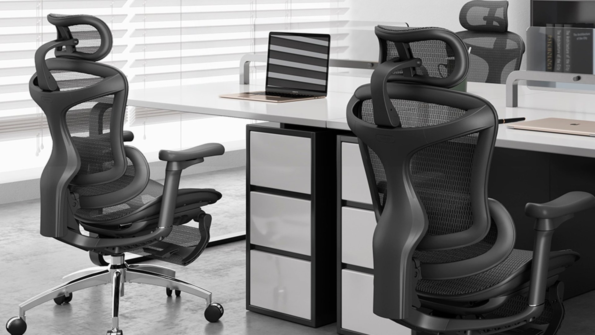 Sihoo Doro C300L vs C300 Pro