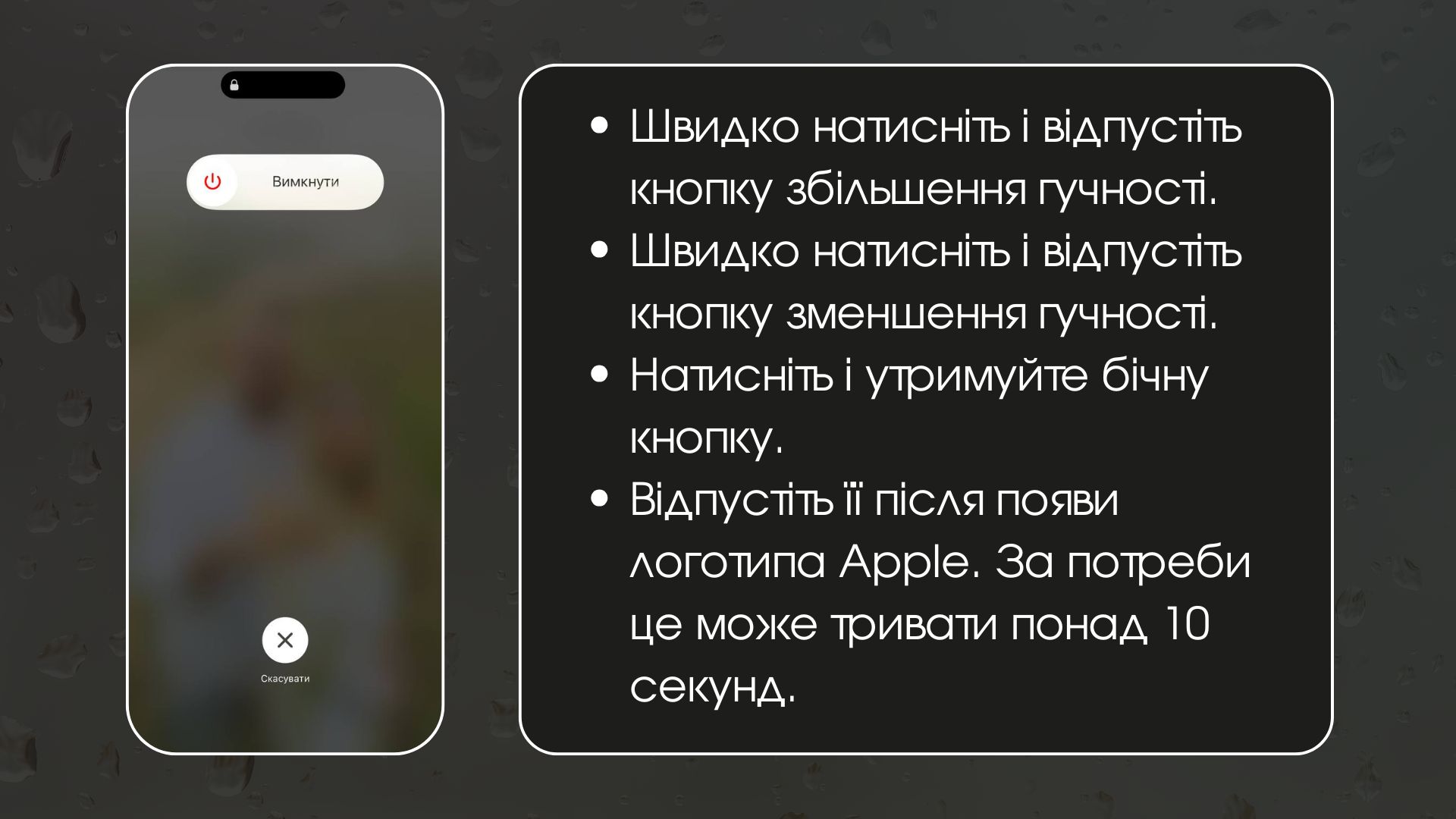 330_2.jpg