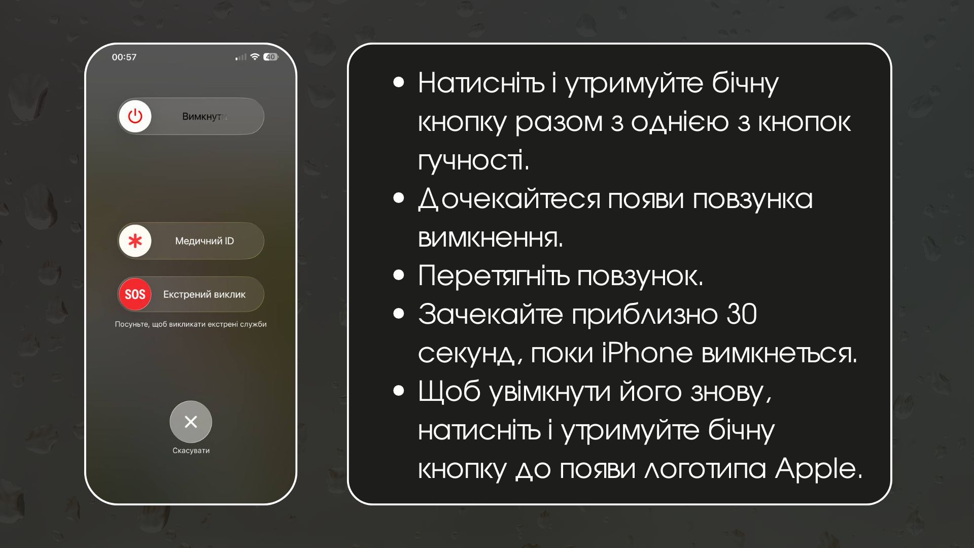 375_1.jpg