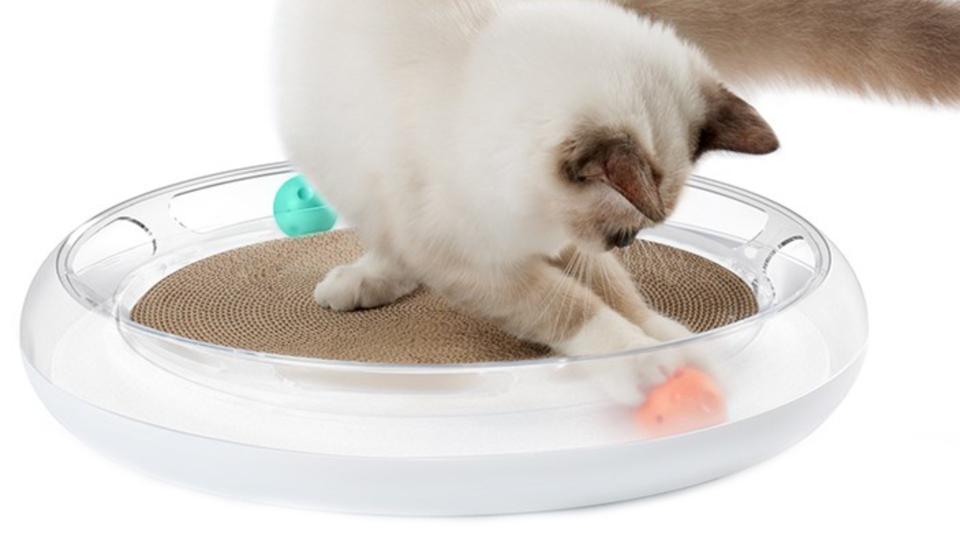 PETKIT Fun Cat scratcher — інтерактивна іграшка та дряпка