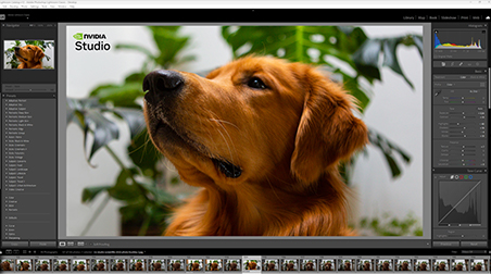 nvidia-studio-photography-fg-i6of6-t.jpg