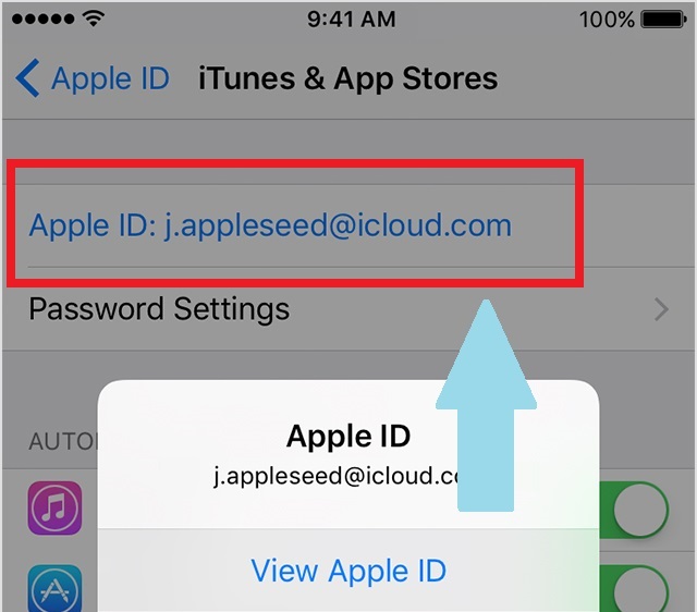 Номер ап стор. Apple ID пример. Apple ID образец. Пароль для Apple ID примеры. Пароль для app Store.