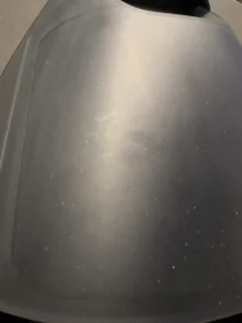 Праска з парогенератором Electrolux Renew 800 (E8ST2-8OG)