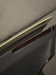 Праска з парогенератором Electrolux Renew 800 (E8ST2-8OG)